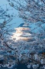 2018世界杯最大分差-2018世界杯最大分差，德国7-1巴西，一场经典战役的回顾与解析