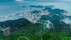 巴西世界杯韩国队比赛-巴西世界杯，韩国队闪耀全球赛场